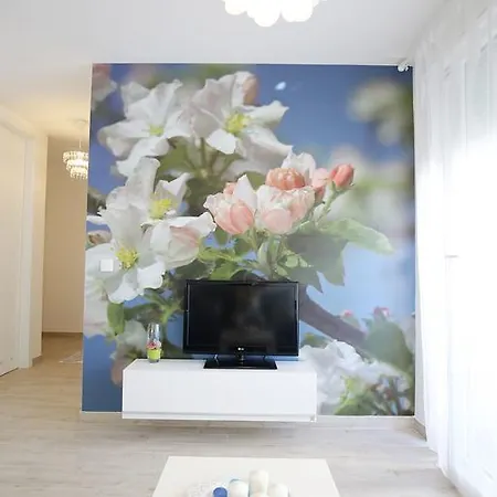 Flowers, Free Garage Parking